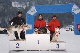 Lenk 2012 SM